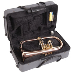 Odyssey Premiere Flugel Horn W/case - Dw M/p