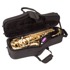 Odyssey Debut Alto Sax Outfit W/case