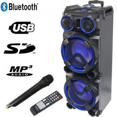 Boîte de haut-parleurs autonome Ibiza Sound 300 W inc. Micro sans fil