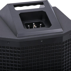 Studiomaster Direct 121MX Column Speaker