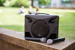 Système audio portable QTX Delta 50 avec Bluetooth