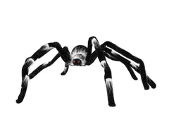 EUROPALMS Halloween spider