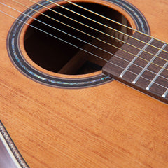 Vintage 6 String Fret Dancer Acoustic - Aged