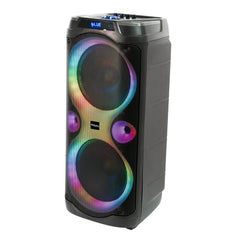 Ibiza Columba Karaoke PA Speaker 1000W Dual Wireless Microphone Bluetooth