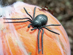 Europalms Halloween-Kürbis im Spinnennetz, 25 cm