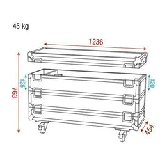 Étui DAP pour 12x Sunstrip Active Flightcase