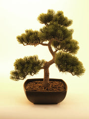 Europalms Pine Bonsai, Artificial Plant, 50Cm **