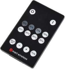 Lyyt RF 1-Farben-LED-Controller